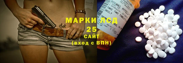 ГАЛЛЮЦИНОГЕННЫЕ ГРИБЫ Алзамай