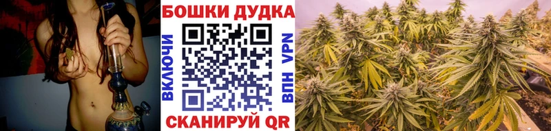 дарнет шоп  Лесосибирск  Шишки марихуана тримм 